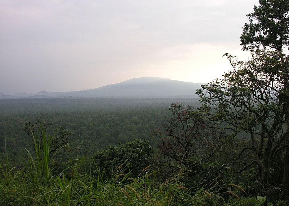 Virunga-National-Park