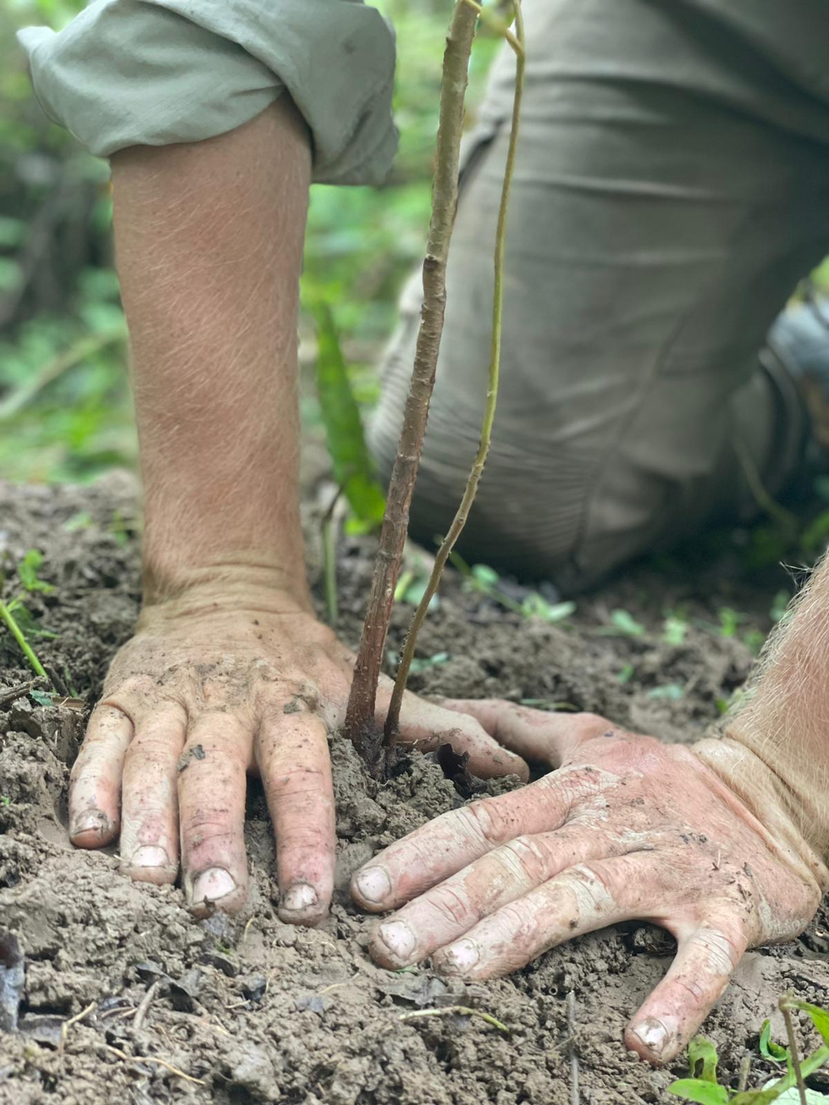 ESPA planting seeds for primates rewilding project