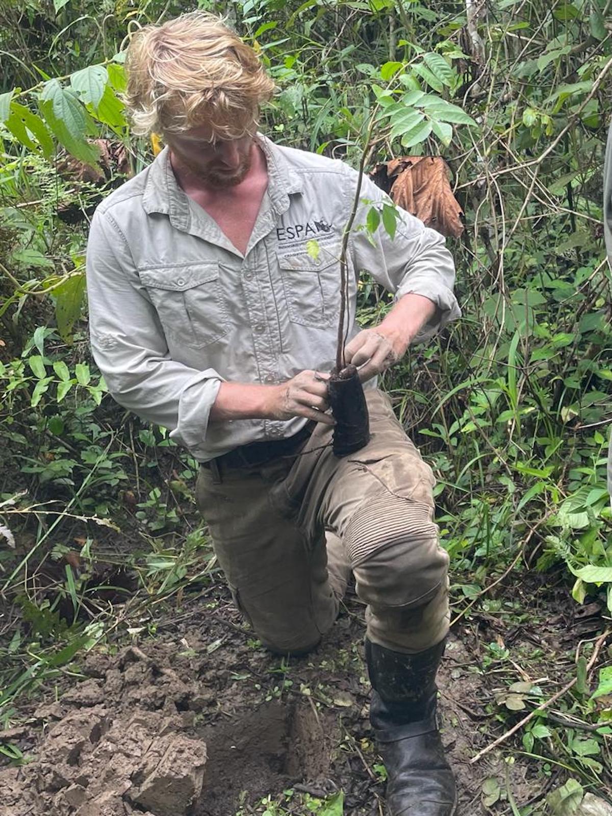ESPA planting for primate rewilding project